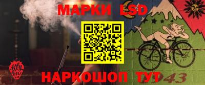 стаф Нальчик