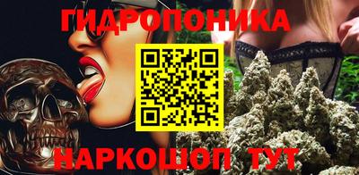 стаф Нальчик