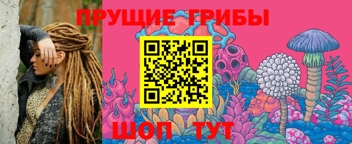 Псилоцибиновые грибы GOLDEN TEACHER  Галлюциногенные грибы GOLDEN TEACHER  Шахты  Вход с VPN 