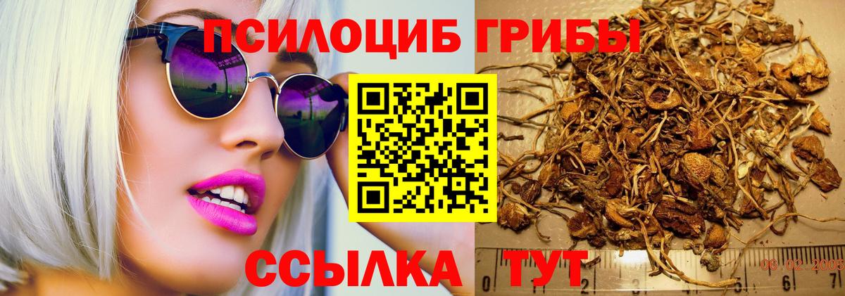 Галлюциногенные грибы прущие грибы Шахты